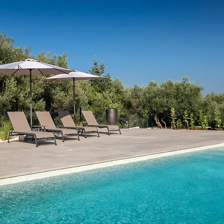 Modern Ava With Outdoor Pool In Tar Villa Tar-Vabriga